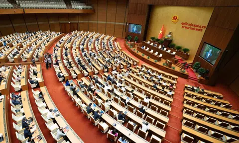 Khắc phục các hạn chế, vướng mắc trong quá trình thực hiện Luật Điều ước quốc tế