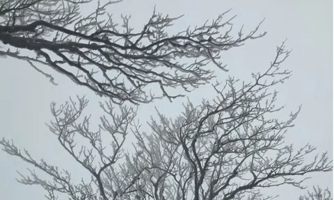 Dự báo thời tiết 11/2: Miền Bắc sắp đón đợt không khí lạnh tăng cường, nền nhiệt giảm mạnh