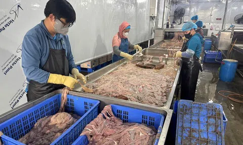 Hà Nội: Phát hiện 60 tấn lòng lợn không rõ nguồn gốc, bốc mùi, đổi màu