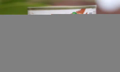 Công ty Đồ hộp Hạ Long lỗ kỷ lục