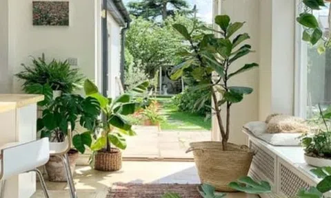 3 dấu hiệu chứng tỏ ngôi nhà của bạn đang có phúc khí, càng ở càng có lộc, đừng dại bán đi