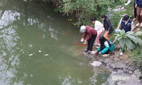 Ngày cúng ông Công, ông Táo: Cá chép "ngộp thở" vì tro rác phủ kín mặt sông