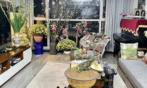 Biệt thự của diva Mỹ Linh rực sắc xuân, nhà nữ MC VTV đủ đầy 'ai ngắm cũng mê'