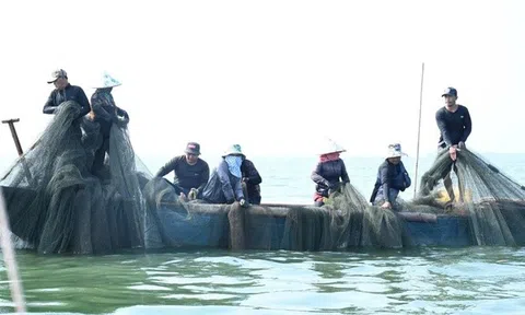 Người dân bám hồ mưu sinh, giữ nhịp xuân giữa mênh mang sóng nước trên hồ Trị An