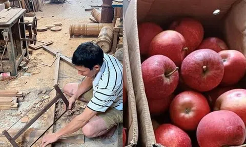 Mừng cưới anh họ 210 triệu đồng, tôi chỉ nhận lại một thùng táo: 3 năm sau, khi mẹ nhập viện, tôi mới hiểu tất cả