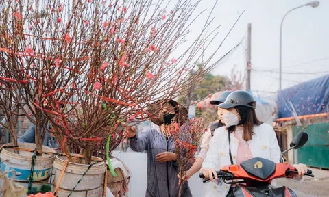 Tin gió mùa Đông Bắc mới nhất: Miền Bắc đón đợt không khí lạnh mạnh tràn về, trời trở rét