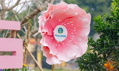 Từ Hà Nội đến TP.HCM: Phú Long và dấu ấn văn hóa trong mùa xuân hội nhập