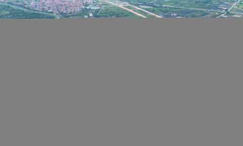 4 phân khúc bất động sản dự báo hút mạnh dòng tiền đầu tư 2026