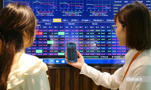 Xử phạt loạt cá nhân, doanh nghiệp vi phạm, thao túng chứng khoán