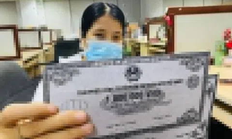 Thanh tra Chính phủ công bố nhiều doanh nghiệp vi phạm về trái phiếu