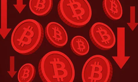Hơn 135.000 người 'cháy' tài khoản vì Bitcoin lao dốc