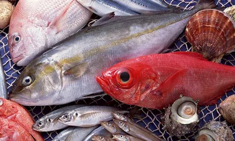 Cảnh báo: 5 loại cá có nguy cơ nhiễm kim loại nặng cao, ăn nhiều có thể hại sức khỏe