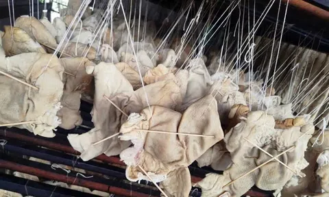 Hơn 55 tấn lòng, dạ dày và chân gà không rõ nguồn gốc trong kho doanh nghiệp ở Hải Phòng