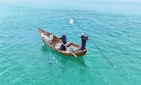 Ra khơi khai thác "lộc biển" từ 2 giờ sáng, ngư dân "đút túi" tiền triệu mỗi chuyến
