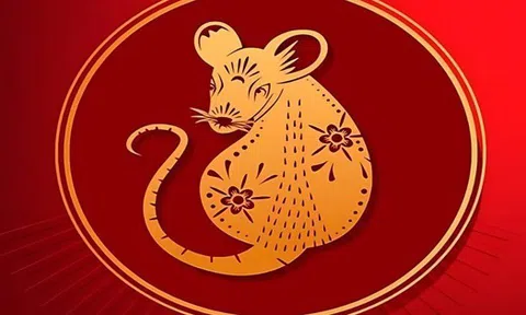 Top 3 con giáp được Thần Tài gõ cửa trong tháng 3: Tài lộc rực rỡ, học hành tấn tới