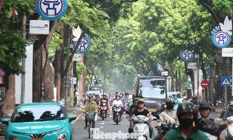 Việt Nam chuyển taxi chạy xăng dầu sang điện: Bài học, kinh nghiệm các nước thế nào?