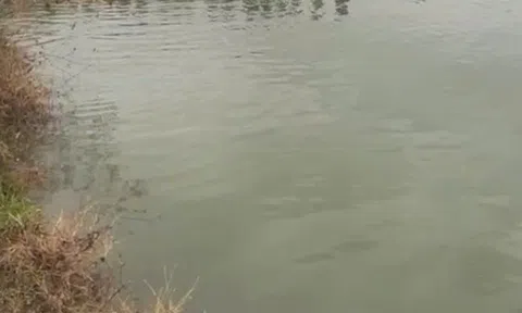 Phát hiện thai phụ cùng con gái 4 tuổi tử vong dưới hồ nước