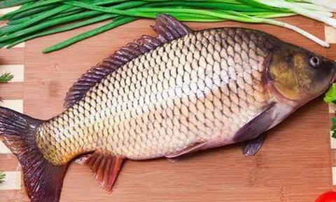 Chợ Việt bán 6 loại cá rẻ tốt cho tim mạch, đủ sức "chung mâm" với cá hồi siêu thị