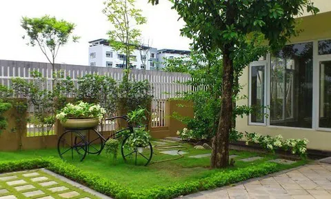 5 loại cây đừng trồng trước cửa nhà