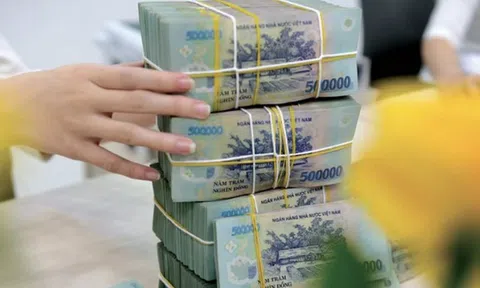 Lý do nhiều ngân hàng, doanh nghiệp thoái vốn bất thành