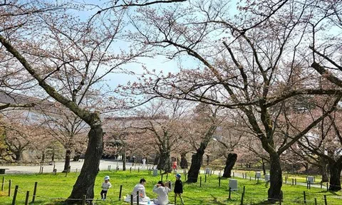 Con số bất ngờ về người Việt đi du lịch Nhật Bản