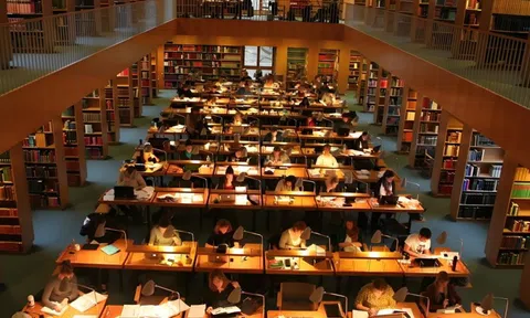 3 nhóm ngành có nhu cầu nhân lực lớn tại Việt Nam năm 2026