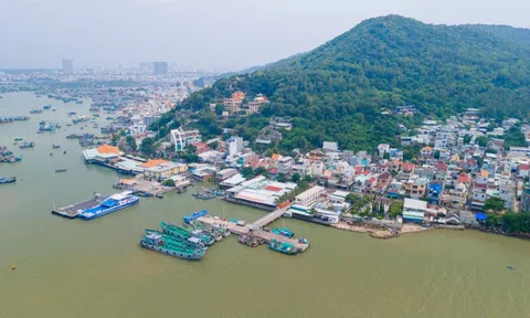 Đề xuất chọn nhà đầu tư đường vượt biển Cần Giờ-Vũng Tàu theo hình thức đặc biệt