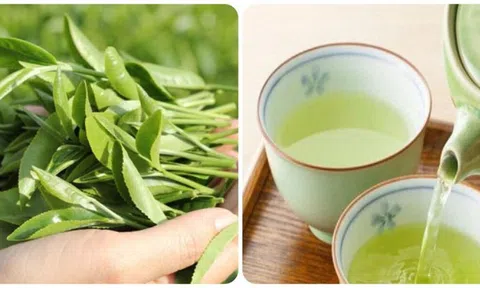 Thời điểm uống nước trà xanh tốt nhất cho sức khỏe