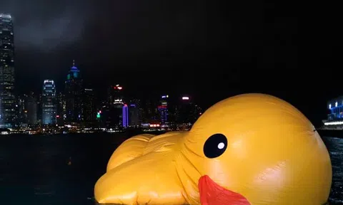 Vì sao nhiều người rất thông minh lại không hạnh phúc?