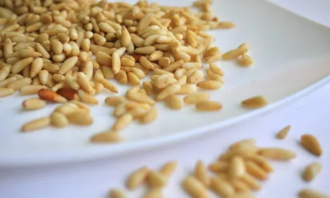 Loại hạt “tí hon” nhưng là “gã khổng lồ” dinh dưỡng, tốt cho tim mạch, chống lão hóa và bảo vệ mắt, ở Việt Nam rụng đầy gốc nhưng ít ai ăn