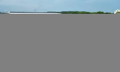 TP.HCM kiến nghị Trung ương bổ sung khoảng 220.000 tỷ làm metro