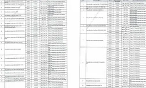 Danh sách chi tiết 742 thực phẩm chức năng vừa bị thu hồi trên toàn quốc, trong đó có nhiều sản phẩm dành cho trẻ em