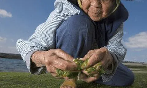 Bí quyết "bình dị đến không tưởng" của ngôi làng trường thọ: Không thể dục, ăn kiêng vẫn sống trăm tuổi