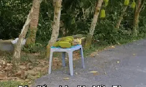 Lật tung mọi nơi chỉ miền Tây có "đặc sản" này