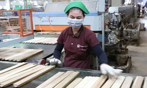 TP Hồ Chí Minh: 22% doanh nghiệp chế xuất điều chỉnh sản xuất nhằm giảm tác động chi phí nhiên liệu