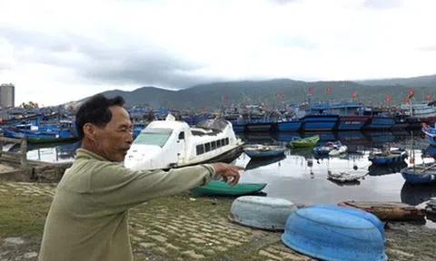 Ra khơi hay neo bến? Bài toán khó của ngư dân khi giá dầu biến động