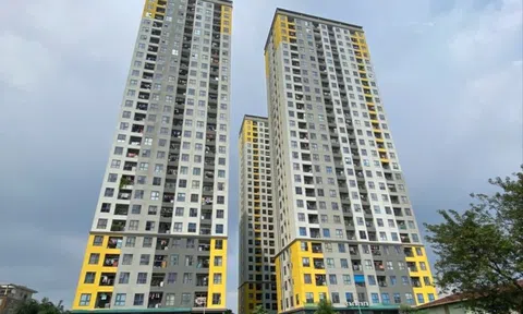 Nhà thương mại giá phù hợp khống chế lợi nhuận tối đa 15%