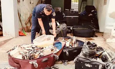 Hải quan phát hiện hơn 1,8 tấn thực phẩm đông lạnh nhập lậu qua biên giới phía Bắc