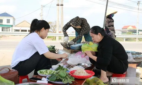 Loài cá "nhà nghèo" hút khách, viral trên mạng xã hội