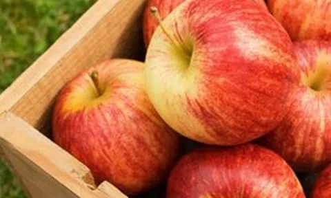 "Nuôi dạ dày chính là nuôi dưỡng sự sống": 5 loại thực phẩm "yêu thích" của niêm mạc dạ dày, nên ăn mỗi ngày, đừng tiếc!