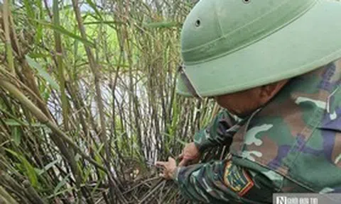 Chuyện về "lão nông" ở phá Hạc Hải - Kỳ 1: "Trả nợ" chim trời