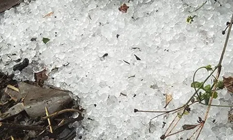 Mưa đá, giông lốc "càn quét" miền Bắc: Hàng trăm nhà tốc mái, hoa màu tan hoang