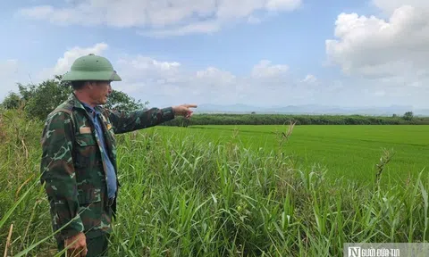 Chuyện về "lão nông" ở phá Hạc Hải - Kỳ cuối: Mô hình kinh tế cho thu nhập "khủng"
