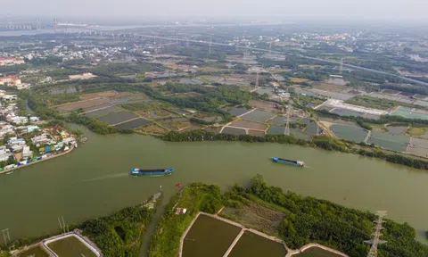 TP.HCM thúc tiến độ cầu Cần Giờ