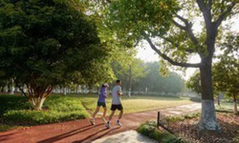 Tập thể dục là “liều thuốc” kéo dài tuổi thọ nhưng 4 kiểu người càng tập nhiều càng hại, tăng nguy cơ tử vong