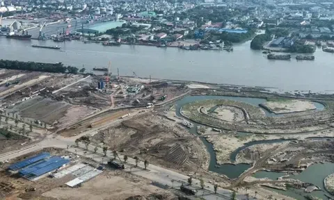 Vingroup trúng đấu giá khu đất gần 50 ha tại đảo Vũ Yên, Hải Phòng