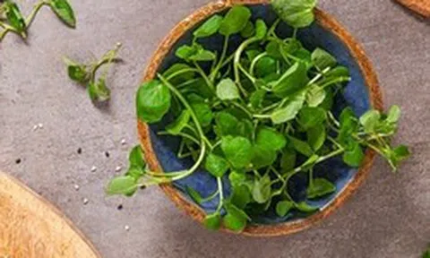 Loại rau "tốt nhất thế giới", giàu chất chống oxy, giảm cholesterol xấu được chuyên gia dinh dưỡng công nhận