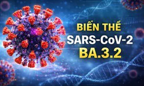 Biến thể Covid-19 “Ve sầu” xuất hiện tại hơn 20 quốc gia trên thế giới: CDC Hà Nội khuyến cáo