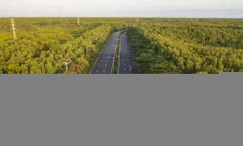 Vingroup đề xuất mở rộng đường Rừng Sác ở Cần Giờ lên 10 làn xe