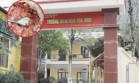 Phụ huynh tự bỏ tiền xét nghiệm, phát hiện thịt lợn nhiễm khuẩn E.coli và tả châu Phi: Hiệu trưởng nói gì?